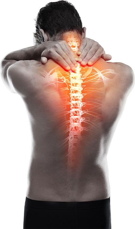Spinal Injury Image